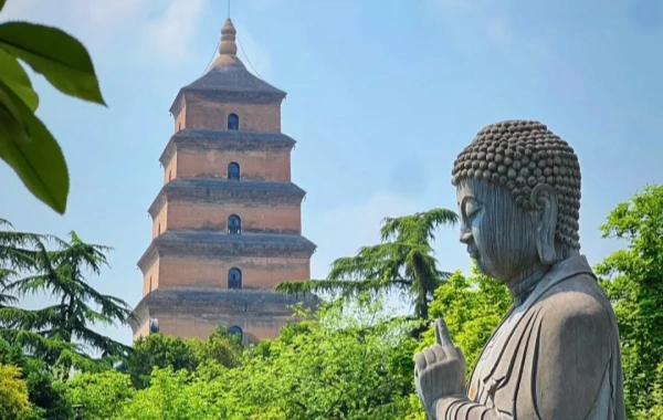 Day 8: Xi'an