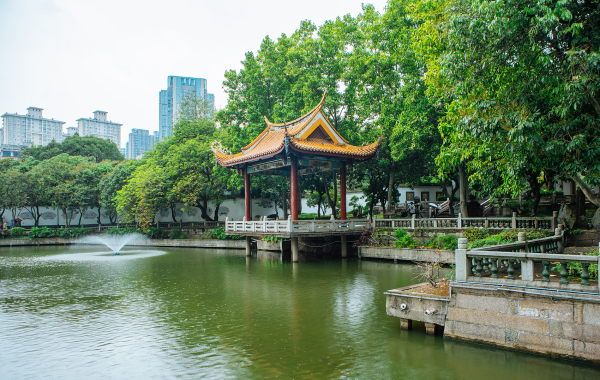 Tag 6: Chengdu