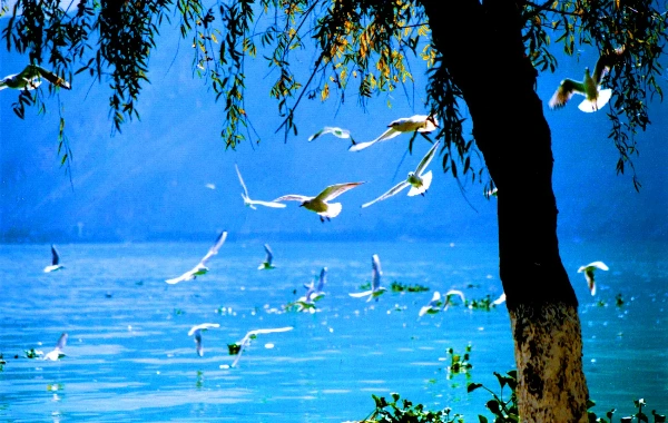Day 1: Kunming 