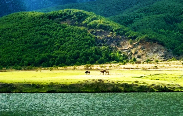 Day 2: Lijiang