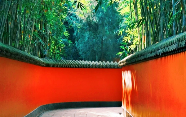 Day 7: Chengdu