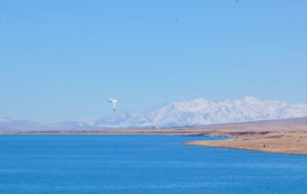 Day 2: Qinghai