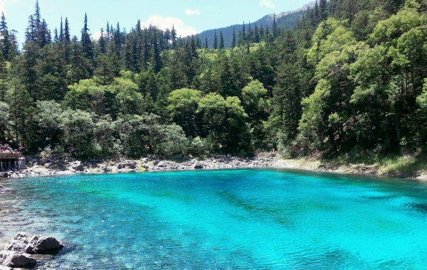 Day 7: Sichuan