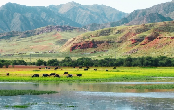 Day4: Qinghai
