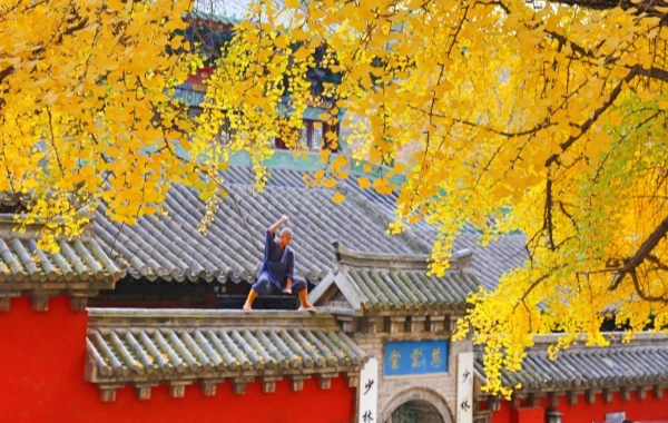 Day 3: Luoyang