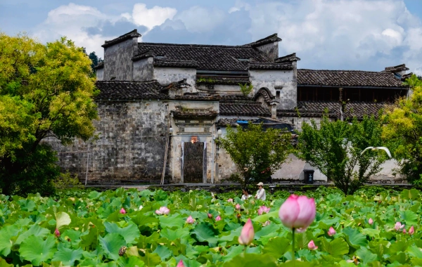 Day 2: Hongcun&Departure