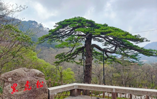 일 3: 산 Huang& 여행 정보