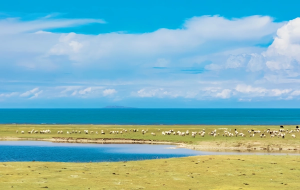 Tag 3: Qinghai