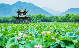 Day 1: Hangzhou