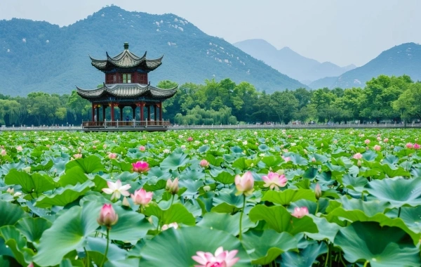 Day 1：Hangzhou