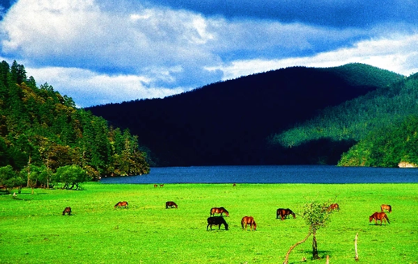 Tag 4: Shangri-La