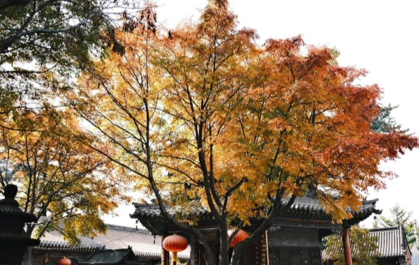 Tag 6: Mount Wutai
