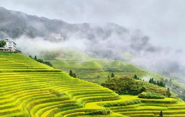 Jour 1: Arrivée de Guilin