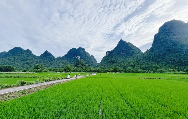Day 1: Guilin Arrival