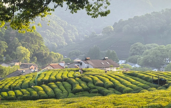 Day 1: Hangzhou